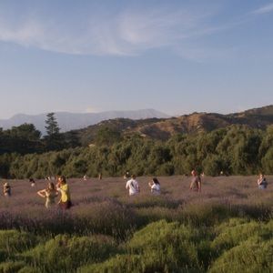 Meet your Posher, Janine